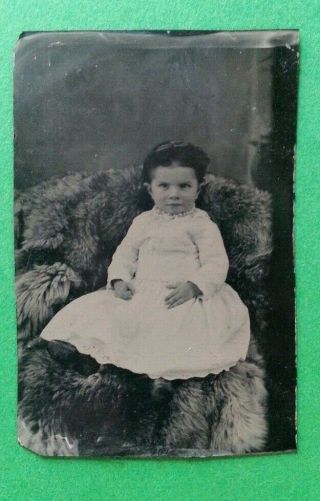 Antique Tintype Vintage Photo Baby Girl Studio Pose Fur Pearls