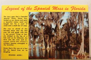 Florida Fl Legend Of The Spanish Moss Postcard Old Vintage Card View Standard Pc