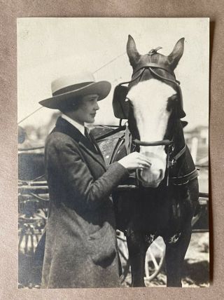 1910s Antique Photo: Woman W/ Horse & Cart Charlottesville Va/ Horseback Riding