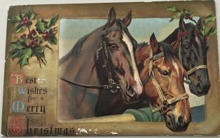 Vintage Christmas Postcard Horses Horse Gold Foil Holly Embossed