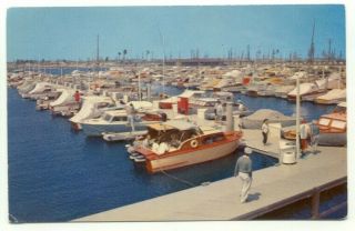 Long Beach Ca The Marina Vintage Boats Postcard California
