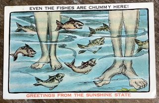 Vintage Comic Postcard Greetings From The Sunshine State Florida Fl Fish Feet