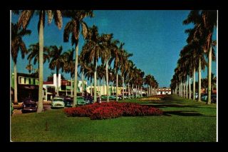 Dr Jim Stamps Us Royal Palms Old Cars Florida Palm Beach Curteichcolor Postcard