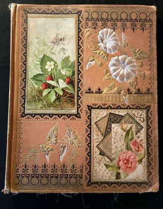 Rare Antique Victorian Scrap Book - Die Cuts,  Americana,  Animals,  Flowers,  Food