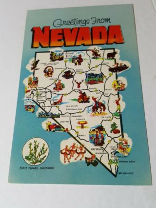 Vintage 1950s Postcard Greetings From Nevada State Map Tourism Picture Card