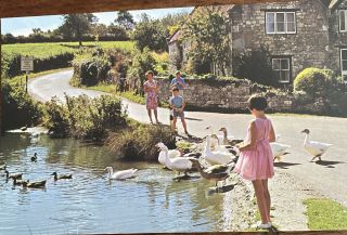 Vintage 1980s Photo Postcard Duck Pond Whitecliff Bay Bembridge Isle Of Wight
