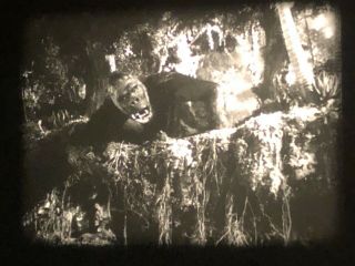 16mm Film Feature: King Kong (1933) with censored scenes 3