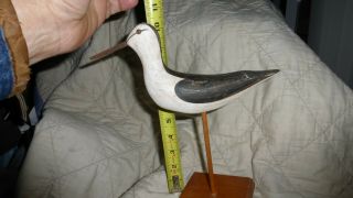 Rare Wek Will Kirkpatrick Hand - Carved Wooden Decoy Bird W Wood Base - Shorebird