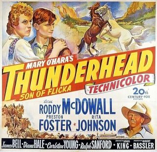 Thunderhead Son Of Flicka 16mm Ib Technicolor Roddy Mcdowall Preston Foster