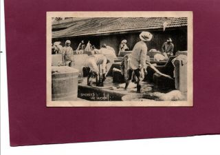 Vintage Postcard Group Of Indian Men Dhobies At Work C.  1910