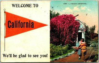 Vintage California Pennant Greetings Postcard " A Hearty Reception " 1913 Cancel