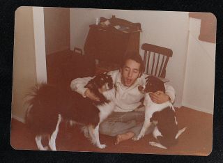 Vintage Photograph Man Sitting On Floor With Adorable Puppy Dogs