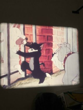 5 x 16mm color cartoons (Tom & Jerry,  Woody Woodpecker,  Andy Panda,  Foghorn Legh 2