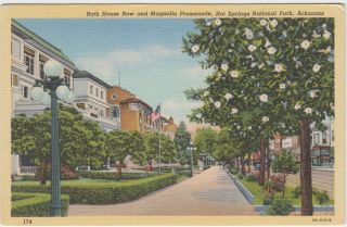 Hot Springs Arkansas Ar Postcard Vintage Bath House Row Magnolia Promenade