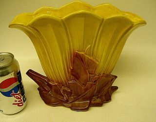 Rare 1950’s Vintage Mccoy Large Fan Gladiola Flower Vase - Gloss Yellow 10 " Wide