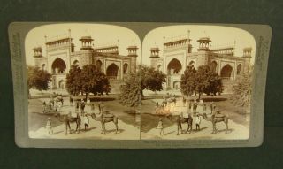 Stereoscopic Card Of Camels Outside East Side Gateway To The Taj Mahal,  India