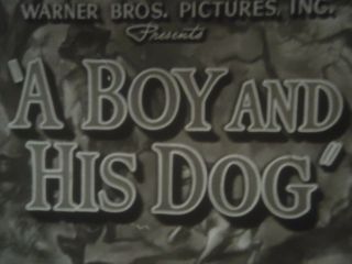 16mm A Boy And His Dog Warner Bros Short 800 