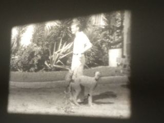 16mm Home Movie 1936 Breeding Greyhound Dogs Alice In Wonderland Play 400’