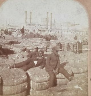 Antique Stereoscope/stereoview Card Keystone Cotton On The Levee,  Orleans