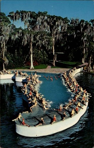 Cypress Gardens Florida Esther Williams Swimming Pool 1950 - 60s Vintage Postcard