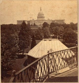 U.  S.  Capitol From The Conservatory.  Stereoview Photo