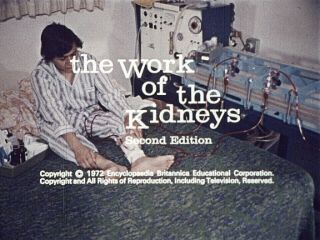 The Work Of The Kidneys - 16mm Sound - Color - 20min 1972