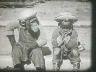 16mm Film Monkey Business Our Gang Comedy 1926 Chimps Little Rascals Hal Roach