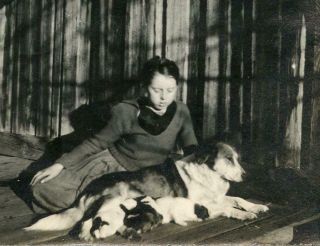 V202 Vtg Photo Girl With Pet Hound Dog And Her Puppies,  Early 1900 