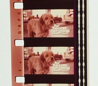 16mm Feature: " For The Love Of Benji " (1977) - Joe Camp - Family Classic