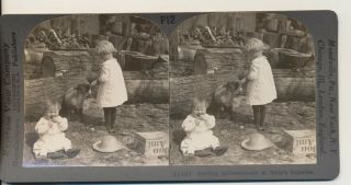 Little Mary feeds pet Lamb with crying baby ' s bottle Keystone Stereoview c1900 2
