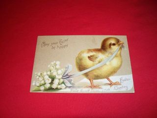 Vintage Antique Postcard Easter Chick With Ribbon Iapc Clapsaddle 1908