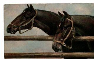 Vintage Nister Art Postcard: Horses By Schonian