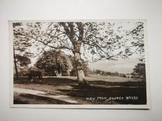 View From Church Brede With Horse Sussex Real Photo Vintage Postcard S79084