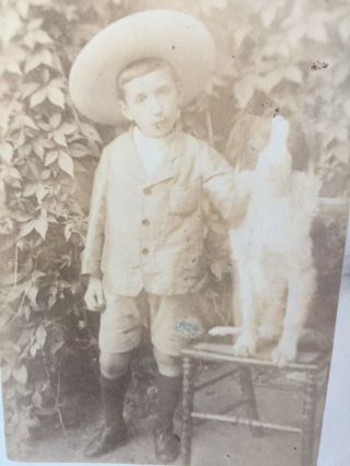 1908 Photo Of Little Boy Wearing Hat With Collie Type Dog Faversham