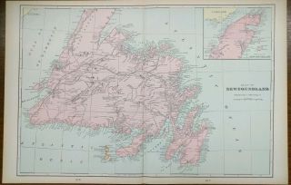 Newfoundland Canada 1903 Vintage Atlas Map 22 " X14 " Old Antique St Johns Gander