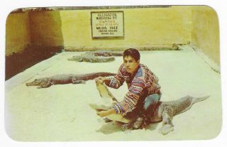 Vintage Florida Postcard Seminole Indian Miami Musa Isle Alligator Wrestling Pit