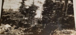Vintage 1927 photo showing view of Mt.  Eccles taken by H.  W.  Stewert Cordova Alaska 3