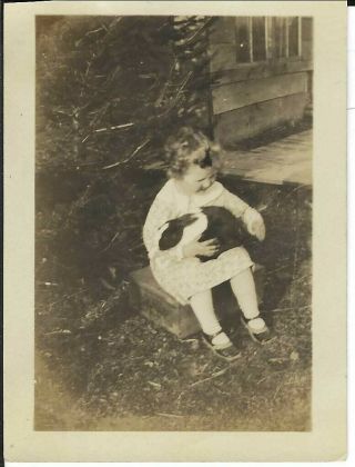 2195p Vintage Photo Little Girl In Print Dress Strap Shoes Holding Bunny Rabbit
