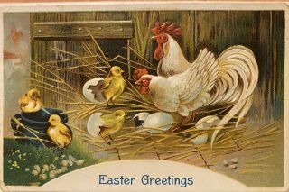 1911 Vintage Easter Postcard - Rooster,  Hen,  Chicks