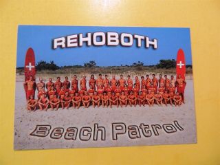 Rehoboth Beach Patrol Rehoboth Beach Delaware Vintage Postcard
