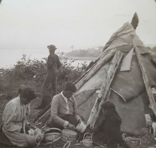 Native American Basket Weavers At Work Prince Edward Island 1903 Photograph Ster