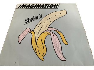 Imagination Germany Import Vinyl Rare 1980 Shake It Dieter Marx Nr - 005 33 - 1/2
