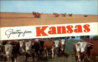 Greetings From Kansas Vintage Wheat Combine Farm Machinery & Cattle