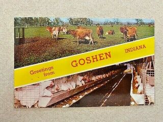 Vintage Postcard Greetings From Goshen Indiana - 1962 - Cows And Chicken Farm