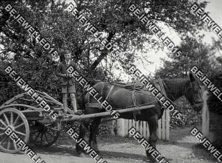 Old Negative.  Boy Standing On A Horse Drawn Cart.  1920 