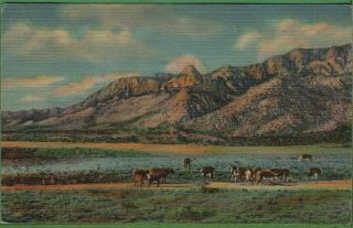 Vintage Mexico Nm Postcard Sandia Mountain Peak & Needle Albuquerque Nm