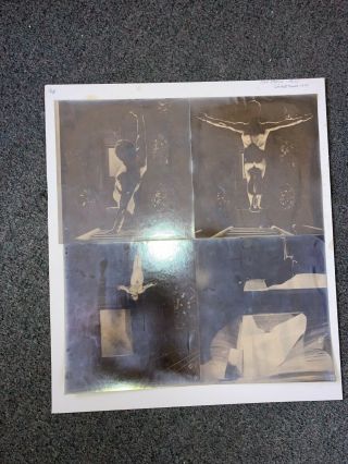 Tony Steele Acrobat Trapeze Artist Photographs On Poster Board 1970