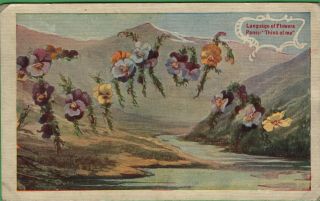 Vintage Pansy Pansies Flower Postcard The Language Of Flowers 1909
