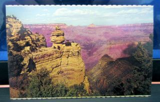 Vintage Postcard " Duck On The Rock,  Grand Canyon National Park,  Az ",  P59722