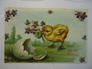 Vintage Postcard Easter Wishes Chick And Egg 1908